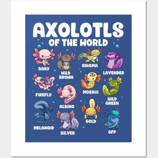 Axolotls of the World Posters and Art